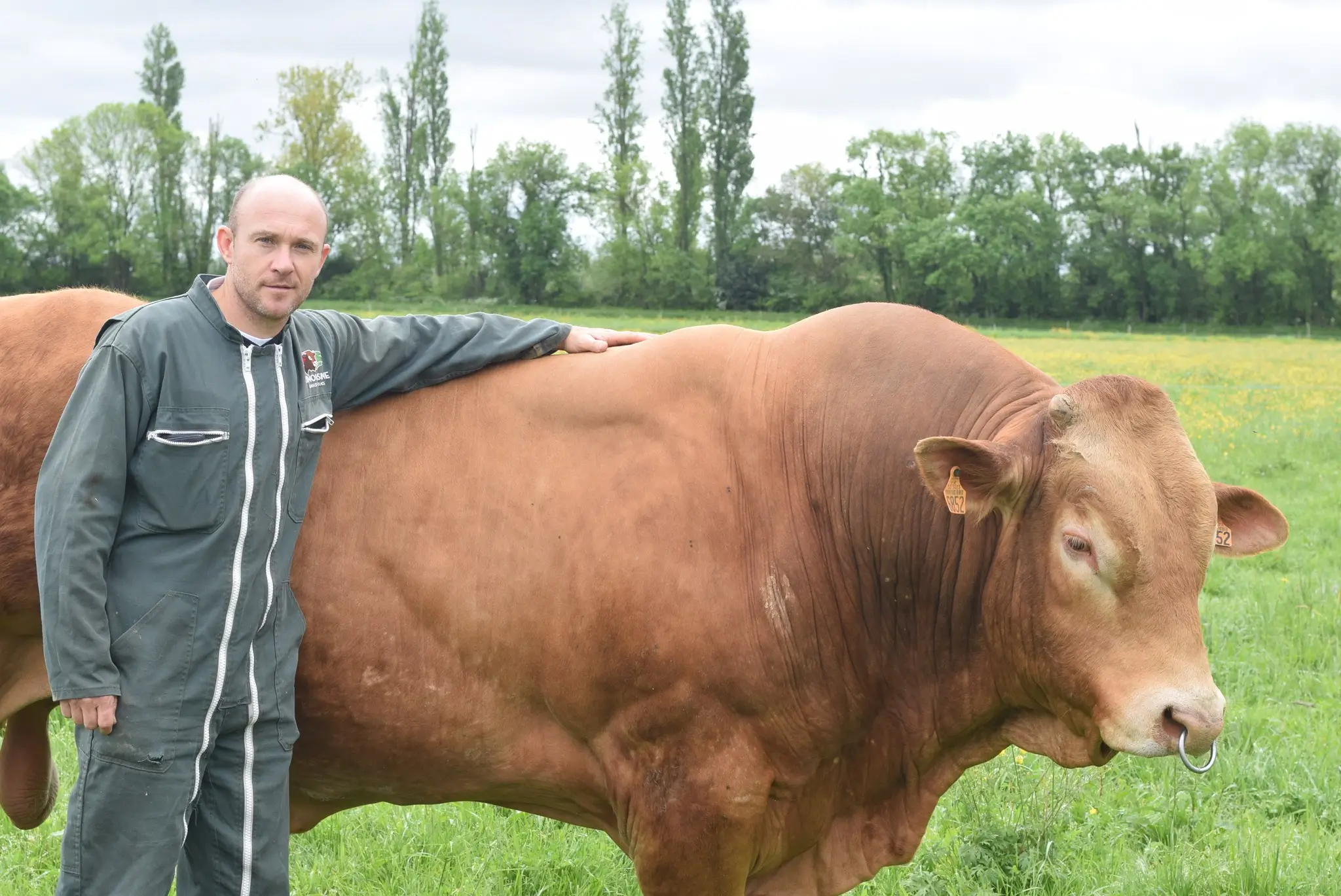 Guillaume Vanderberg portrait agriculteur à Asques